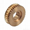 Brass Worm Gear 1