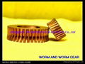 brass worm gear 