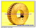 brass worm gear  2