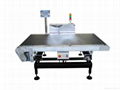 Heavy Duty Check Weigher