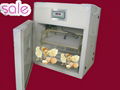 best egg incubator small YZITE-3 (CE approved !!! )