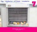 egg incubator YZITE-15 1