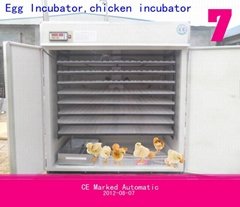 egg incubator YZITE-15