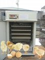 best poultry incubator YZITE-6