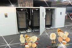 high quality poultry incubator YZITE-29