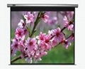 Top Grade Motorized Screen (Tubular