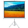 Tripod Screen