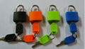 Colorful padlock