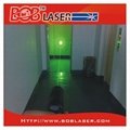 Adjustable Focus Green Laser Pointer