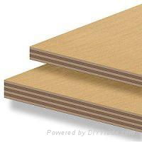 exterior plywood 