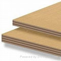 exterior plywood 