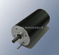 Brushless DC motor 36mm/70mNm 1