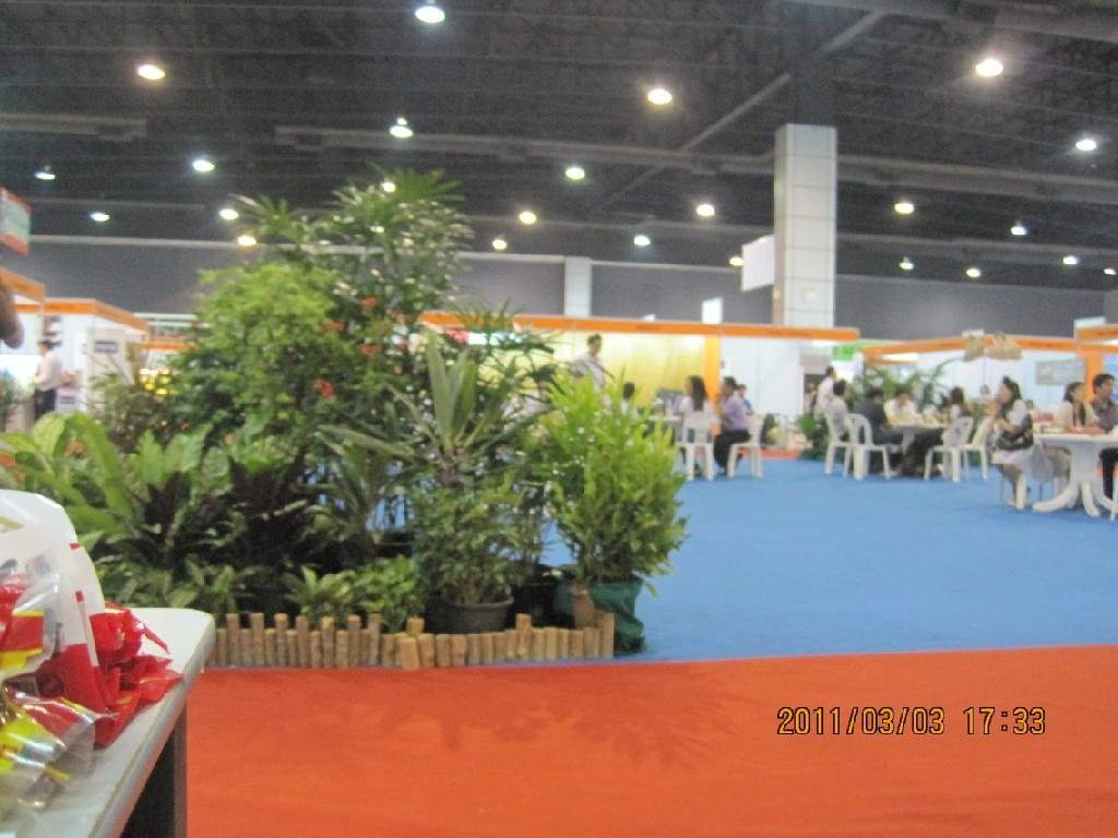 2011东盟（曼谷）中国进出口商品博览会