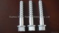 Hexagon head screw 1