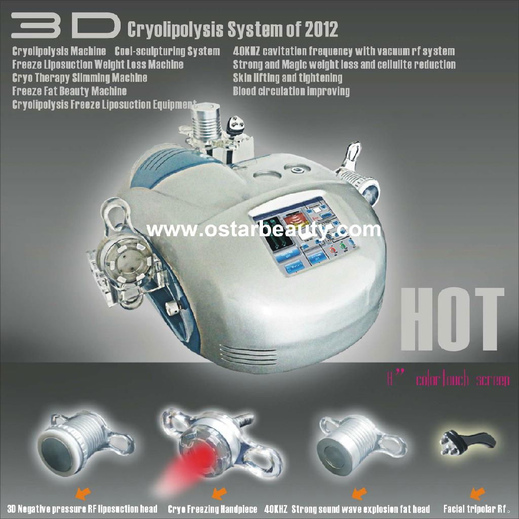Factory wholesale coolsculpting zeltip cryolipolysis machine OB-CM 02 2