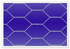 Hexagonal Wire Netting 