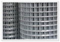 Welded Wire Mesh