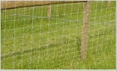 Woven Wire Fence 