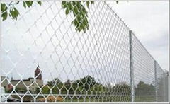 Galvanized Chain Link Fence