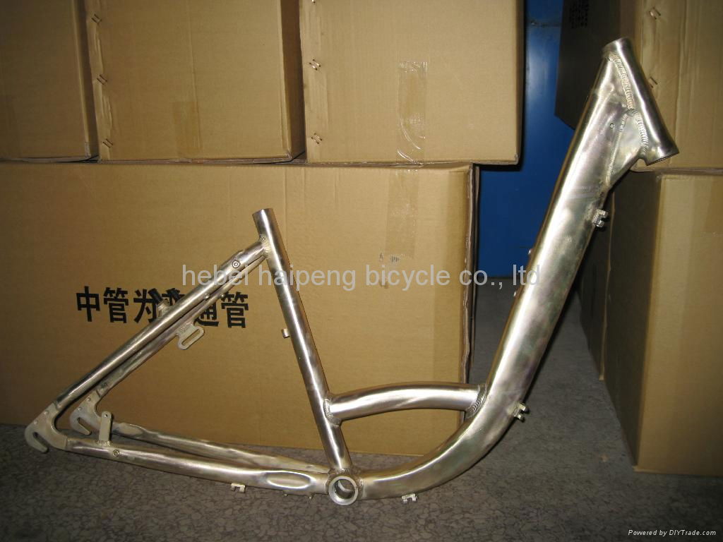 beach bicycle frame and fork  3