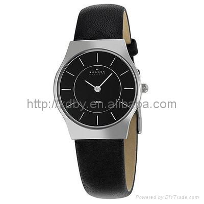 Brand Skagen watch