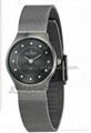 Brand Skagen watch 4