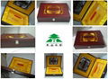 Cordyceps sinensis wooden box 3