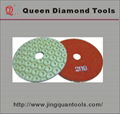 Wet polishing pad