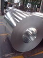 Hot dipped galvanized steel sheet/coil 1