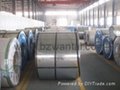 Hot dipped galvanized steel sheet/coil 2