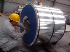 Pre-painted galvanized steel sheet