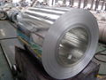 Galvanized steel coil 1