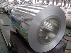 Galvanized steel coil