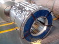 Galvanized steel coil 4