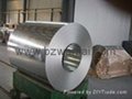 Hot dipped galvanized steel sheet/coil 5