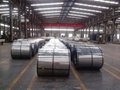 Hot dipped galvanized steel sheet/coil 4