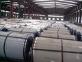 Hot dipped galvanized steel sheet/coil 3