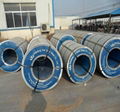 PPGI COLOR STEEL COIL