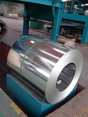 Hot dipped galvanized steel sheet/coil