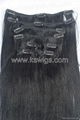 Natural clip hair extension 4