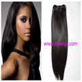 virgin human hair 1