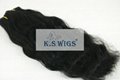 China expoter authority good quality chinese hair 2