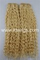China expoter authority good quality chinese hair 5