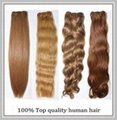 100% virgin european remy hair natural