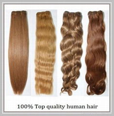 100% virgin european remy hair natural straight natural brown color