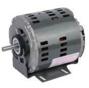 COOLER MOTOR