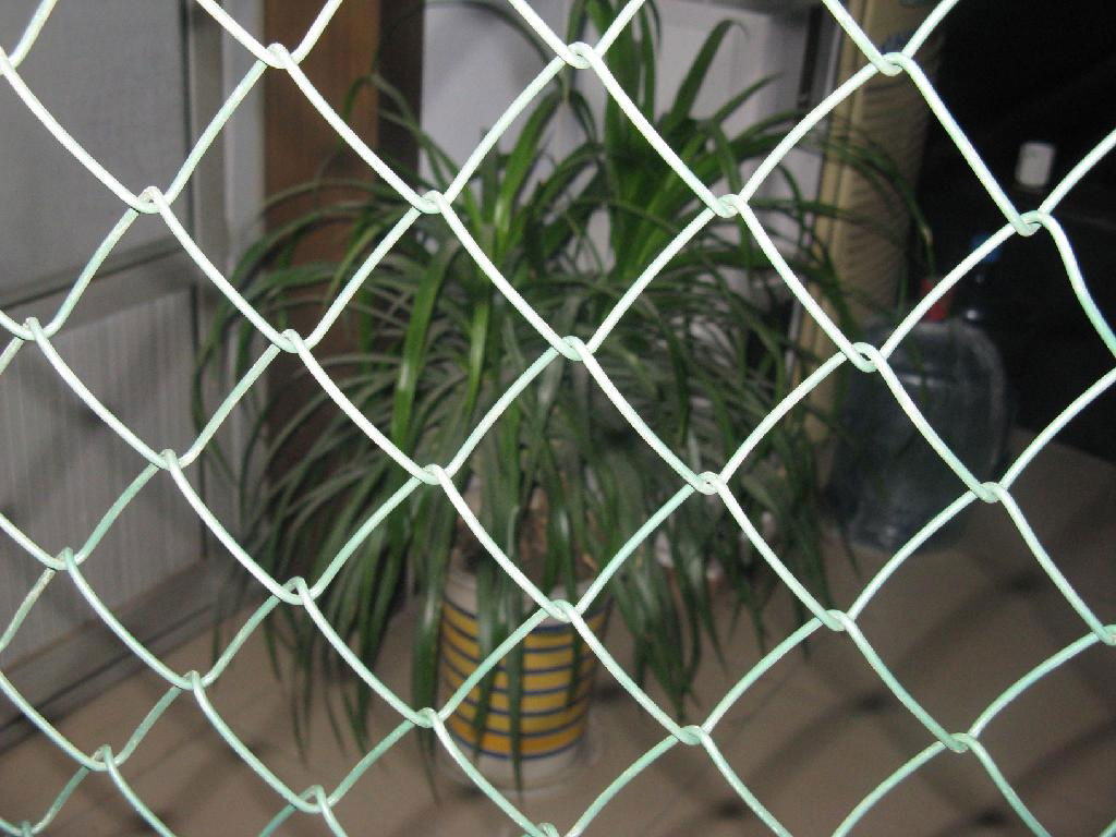 chain link fence  5