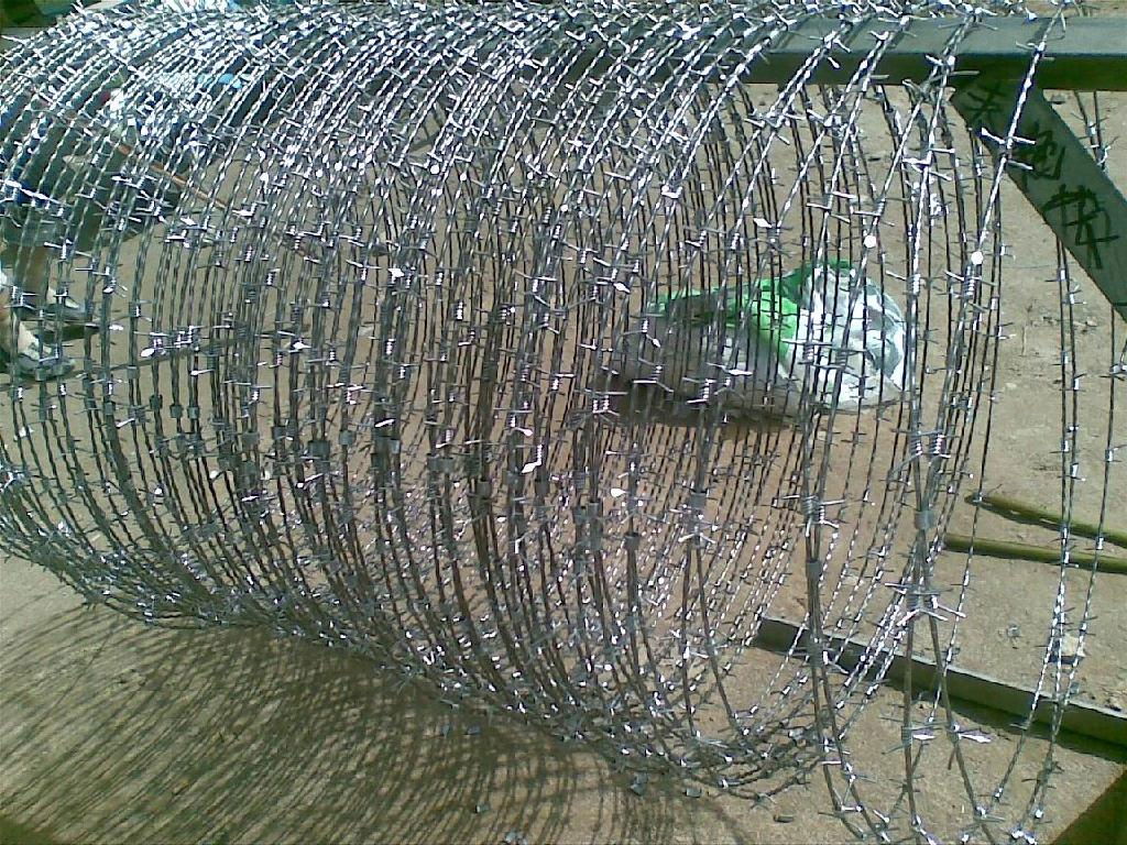 barbed wire  2