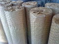 hexagonal wire mesh 2