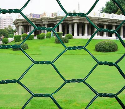 hexagonal wire mesh 3